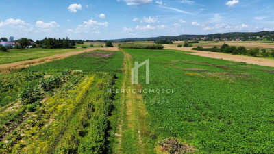 DUŻA DZIAŁKA ROLNA SZEBNIE GM JASŁO 57AR - Szebnie  -
podkarpackie Zdjęcie nr 2