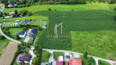 DZIAŁKA BUDOWLANA BLISKO MIASTA OTOCZONA ZIELENIĄ ŻÓŁKÓW GM JASŁO 30AR - Żółków  -
podkarpackie Zdjęcie nr 4