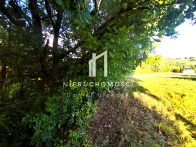 DZIAŁKA O STATUSIE BUDOWLANEJ Z WZ U PODNÓŻA GÓRY LIWOCZ LIPNICA GÓRNA GM SKOŁYSZYN 34AR - Lipnica Górna  -
podkarpackie Zdjęcie nr 5