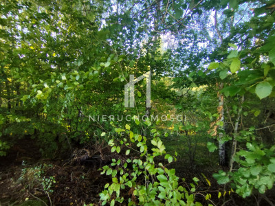 DZIAŁKA O STATUSIE BUDOWLANEJ Z WZ U PODNÓŻA GÓRY LIWOCZ LIPNICA GÓRNA GM SKOŁYSZYN 34AR - Lipnica Górna  -
podkarpackie Zdjęcie nr 6