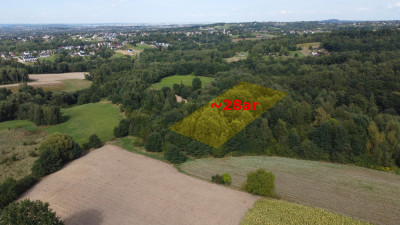 ROZLEGŁA ZIELONA NIERUCHOMOŚĆ GRUNTOWA 15KM OD KRAKOWA BUKÓW GM MOGILANY 329HA - Buków  -
małopolskie Zdjęcie nr 10