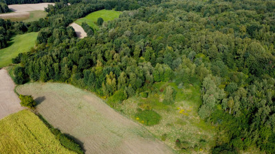 ROZLEGŁA ZIELONA NIERUCHOMOŚĆ GRUNTOWA 15KM OD KRAKOWA BUKÓW GM MOGILANY 329HA - Buków  -
małopolskie Zdjęcie nr 13