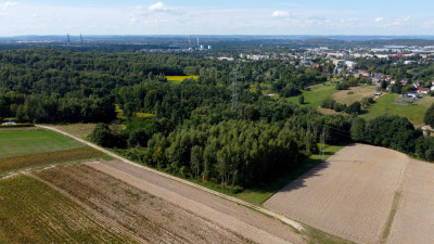 ROZLEGŁA ZIELONA NIERUCHOMOŚĆ GRUNTOWA 15KM OD KRAKOWA BUKÓW GM MOGILANY 329HA - Buków  -
małopolskie Zdjęcie nr 8