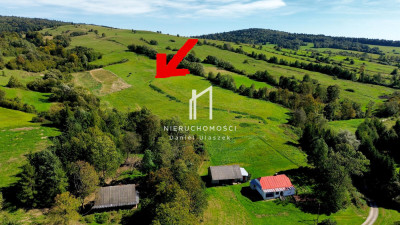 WIDOKOWA NIERUCHOMOŚĆ GRUNTOWA 8HA CHYROWA GM DUKLA - Chyrowa  -
podkarpackie Zdjęcie nr 3