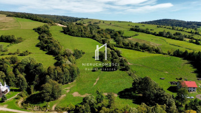 WIDOKOWA NIERUCHOMOŚĆ GRUNTOWA 8HA CHYROWA GM DUKLA - Chyrowa  -
podkarpackie Zdjęcie nr 4