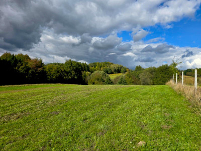 NIERUCHOMOŚĆ ROLNO-BUDOWLANA BIERÓWKA GMINA JASŁO 125HA - Bierówka  - podkarpackie