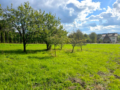 NIERUCHOMOŚĆ ROLNO-BUDOWLANA BIERÓWKA GMINA JASŁO 125HA - Bierówka  -
podkarpackie Zdjęcie nr 8