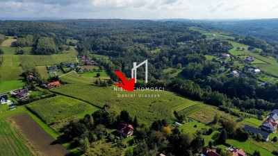 PRZESTRONNA DZIAŁKA BUDOWLANA Z WZ ŻÓŁKÓW GM JASŁO 435AR - Żółków  -
podkarpackie Zdjęcie nr 6