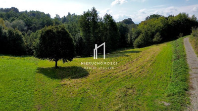 ZIELONA DZIAŁKA BUDOWLANA Z WZ LASEM I LINIĄ BRZEGOWĄ ŻÓŁKÓW GM JASŁO 54AR - Żółków  -
podkarpackie Zdjęcie nr 10