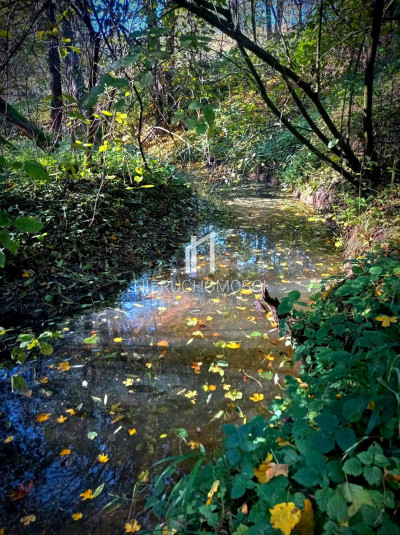 ZIELONA DZIAŁKA BUDOWLANA Z WZ LASEM I LINIĄ BRZEGOWĄ ŻÓŁKÓW GM JASŁO 54AR - Żółków  -
podkarpackie Zdjęcie nr 13