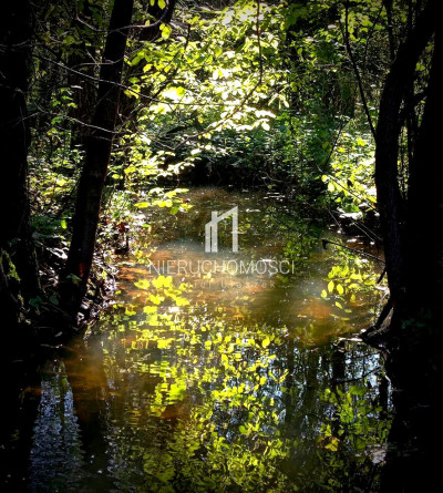 ZIELONA DZIAŁKA BUDOWLANA Z WZ LASEM I LINIĄ BRZEGOWĄ ŻÓŁKÓW GM JASŁO 54AR - Żółków  -
podkarpackie Zdjęcie nr 14