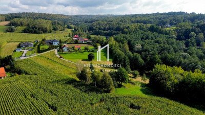 ZIELONA DZIAŁKA BUDOWLANA Z WZ LASEM I LINIĄ BRZEGOWĄ ŻÓŁKÓW GM JASŁO 54AR - Żółków  -
podkarpackie Zdjęcie nr 5