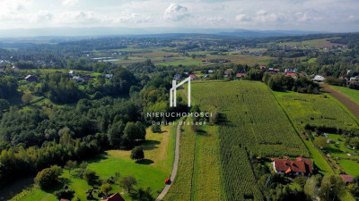 ZIELONA DZIAŁKA BUDOWLANA Z WZ LASEM I LINIĄ BRZEGOWĄ ŻÓŁKÓW GM JASŁO 54AR - Żółków  -
podkarpackie Zdjęcie nr 6