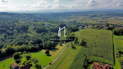 ZIELONA DZIAŁKA BUDOWLANA Z WZ LASEM I LINIĄ BRZEGOWĄ ŻÓŁKÓW GM JASŁO 54AR - Żółków  -
podkarpackie Zdjęcie nr 7