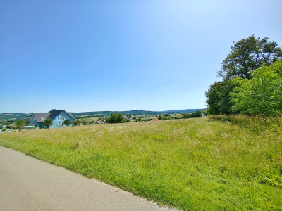 NOWA NIŻSZA CENA DZIAŁKA Z POTENCJAŁEM BUDOWLANYM BRZYSKA 34 ARY - Brzyska  -
podkarpackie Zdjęcie nr 11