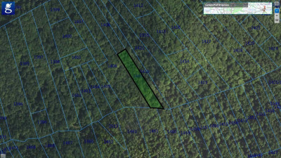 LAS BUKOWY- 45 AR CZERMNA POWIAT TARNOWSKI - Czermna  - małopolskie