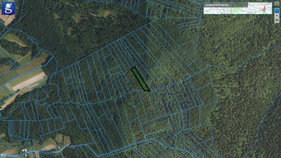 LAS BUKOWY- 45 AR CZERMNA POWIAT TARNOWSKI - Czermna  -
małopolskie Zdjęcie nr 2