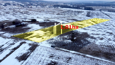 DUŻA DZIAŁKA ROLNA PAGÓREK GM DĘBOWIEC 101HA - Pagórek  - podkarpackie