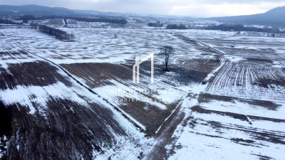 DUŻA DZIAŁKA ROLNA PAGÓREK GM DĘBOWIEC 101HA - Pagórek  -
podkarpackie Zdjęcie nr 3