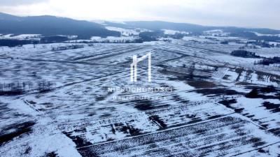 DUŻA DZIAŁKA ROLNA PAGÓREK GM DĘBOWIEC 101HA - Pagórek  -
podkarpackie Zdjęcie nr 6