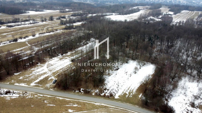 KOMPLEKS DWÓCH DZIAŁEK ROLNO-LEŚNYCH OSOBNICA GM JASŁO 52AR I 225AR - Osobnica  -
podkarpackie Zdjęcie nr 5