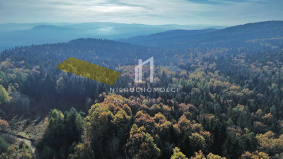 DWIE DZIAŁKI ROLNO-BUDOWLANE HARKLOWA GM SKOŁYSZYN 75AR - Harklowa  -
podkarpackie Zdjęcie nr 4