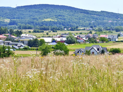 DZIAŁKA Z POTENCJAŁEM BUDOWLANYM BRZYSKA 34 ARY - Brzyska   -
podkarpackie Zdjęcie nr 11