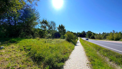 DZIAŁKA INWESTYCYJNA PRZY DK73 BUKOWA 22ARY - Bukowa  -
podkarpackie Zdjęcie nr 9