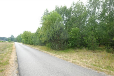 Wólka Smolana gm Brochów 5 działek - powiat sochaczewski  -
Mazowieckie Zdjęcie nr 8