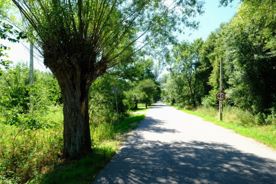 Dom Tuż przy Granicy Kampinosu KPN Tak - Kampinos  - Mazowieckie