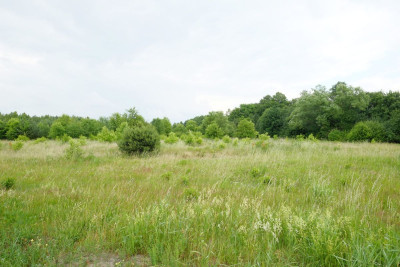 Wólka Smolana gm Brochów 5 działek - Wólka Smolana  -
Mazowieckie Zdjęcie nr 7