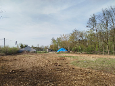 Usługi 9 775 m przy DW631  Skrzeszew  Potencjał - Skrzeszew  -
Mazowieckie Zdjęcie nr 4