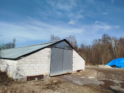 Usługi 9 775 m przy DW631  Skrzeszew  Potencjał - Skrzeszew  -
Mazowieckie Zdjęcie nr 7