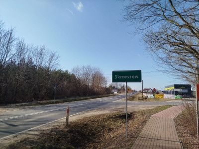 Usługi 9 775 m przy DW631  Skrzeszew  Potencjał - Skrzeszew  -
Mazowieckie Zdjęcie nr 8