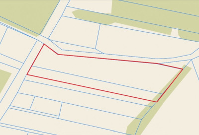 UNIKAT - Dom przy granicy KPN - Kampinos - Kampinos  -
Mazowieckie Zdjęcie nr 11