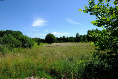 UNIKAT - Dom przy granicy KPN - Kampinos - Kampinos  -
Mazowieckie Zdjęcie nr 12