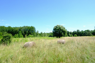 UNIKAT - Dom przy granicy KPN - Kampinos - Kampinos  -
Mazowieckie Zdjęcie nr 13