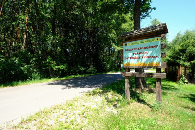 UNIKAT - Dom przy granicy KPN - Kampinos - Kampinos  -
Mazowieckie Zdjęcie nr 5