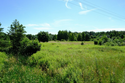 UNIKAT - Dom przy granicy KPN - Kampinos - Kampinos  -
Mazowieckie Zdjęcie nr 7