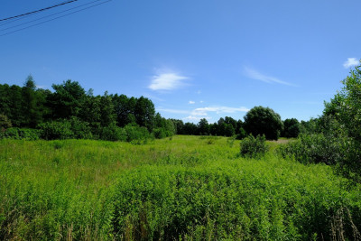 UNIKAT - Dom przy granicy KPN - Kampinos - Kampinos  -
Mazowieckie Zdjęcie nr 8