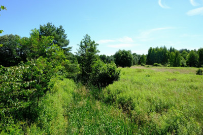 UNIKAT - Dom przy granicy KPN - Kampinos - Kampinos  -
Mazowieckie Zdjęcie nr 9