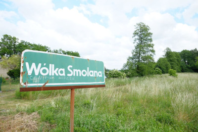 Wólka Smolana gm Brochów media las - Wólka Smolana  -
Mazowieckie Zdjęcie nr 2
