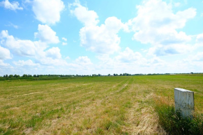 Kampinos blisko do KPN ładna media - powiat warszawski zachodni  -
Mazowieckie Zdjęcie nr 7