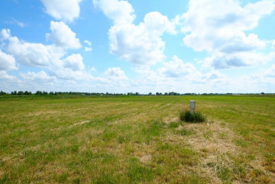 Kampinos blisko do KPN ładna media - powiat warszawski zachodni  -
Mazowieckie Zdjęcie nr 8