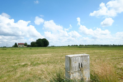 Podkampinos OKAZJA 2 x 3000 m2   WZ - powiat warszawski zachodni  - Mazowieckie
