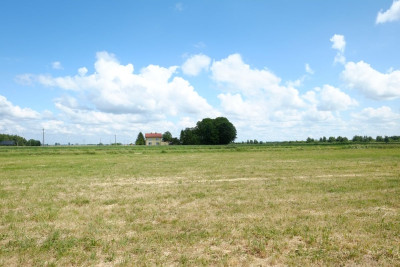 Podkampinos OKAZJA 2 x 3000 m2   WZ - powiat warszawski zachodni  -
Mazowieckie Zdjęcie nr 3