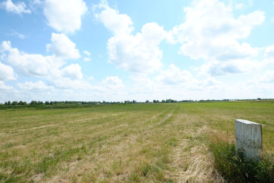 Podkampinos OKAZJA 2 x 3000 m2   WZ - powiat warszawski zachodni  -
Mazowieckie Zdjęcie nr 4