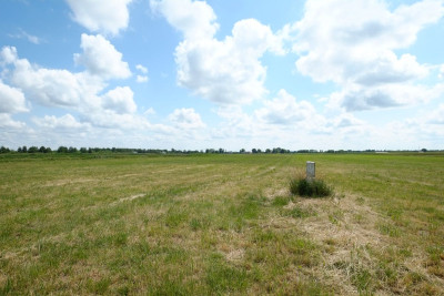 Podkampinos OKAZJA 2 x 3000 m2   WZ - powiat warszawski zachodni  -
Mazowieckie Zdjęcie nr 5