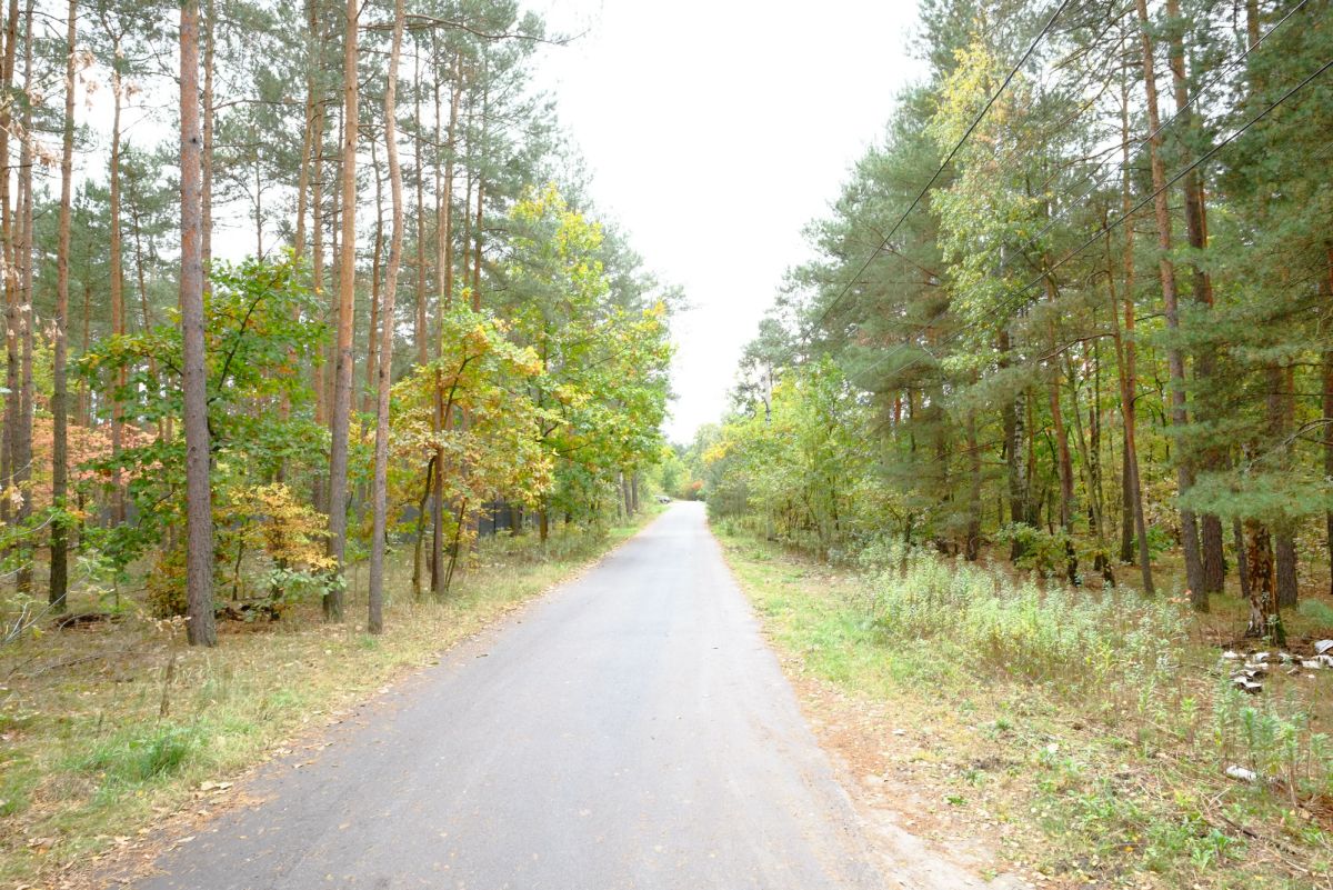 Białołęka Dworska - Urokliwa Mała Działka w Lesie - Warszawa  -
Mazowieckie Zdjęcie nr 1