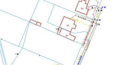 Białołęka Dworska - Urokliwa Mała Działka w Lesie - Warszawa  -
Mazowieckie Zdjęcie nr 5